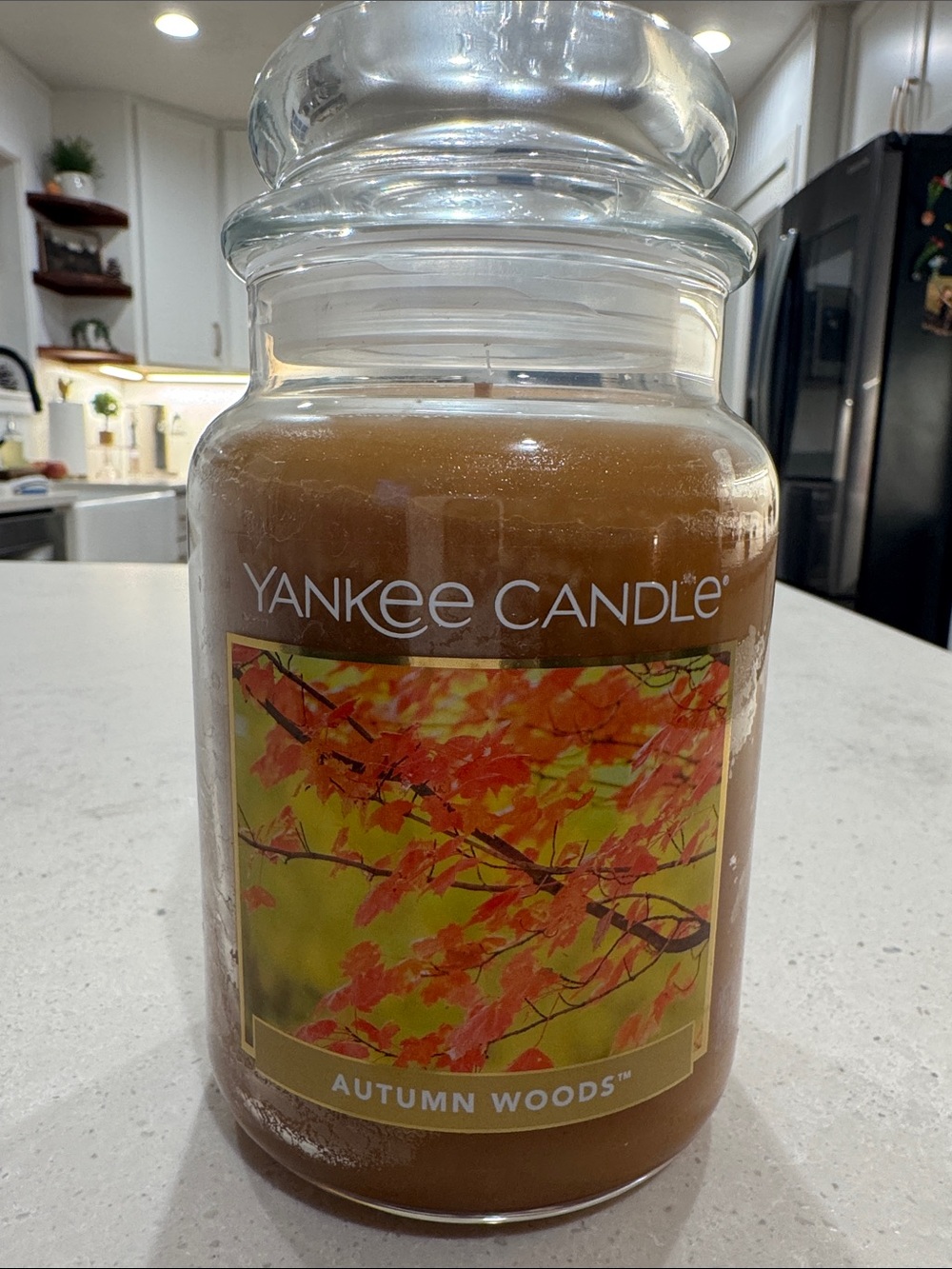 Yankee Candle AUTUMN WOODS 22 Oz Glass Jar NEW RARE